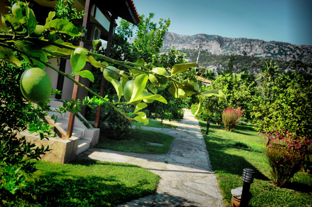 Nerissa Hotel Çıralı Eksteriør billede