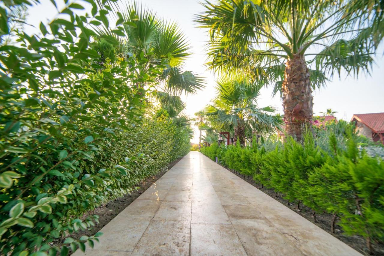 Nerissa Hotel Çıralı Eksteriør billede