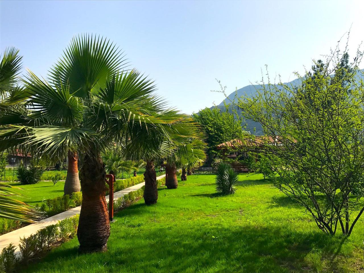 Nerissa Hotel Çıralı Eksteriør billede